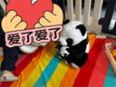 熊猫熊大熊猫毛绒玩具女孩熊猫玩偶娃娃公仔花花抱抱熊儿童毕业礼物男孩子布娃娃女生生日礼物女送女朋友同学陪睡觉抱枕仿真布偶小号创意摆件30cm 实拍图
