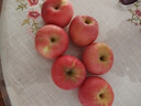京鲜生 烟台红富士苹果 净重5.2斤/12粒  单果190-240g  水果礼盒 实拍图
