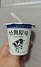 北海牧场经典原味酸奶100g*6杯  高钙含量100mg/杯低温酸奶酸牛奶 实拍图