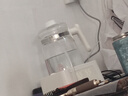 小壮熊 全玻璃恒温壶 恒温调奶器冲奶水壶 保热冲泡暖奶暖烧水壶 白1.5L 实拍图