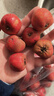 沂蒙山新鲜山楂大金星山楂大五棱鲜果特级大果山楂泡酒冰糖葫芦 4斤净重新鲜大金星山楂大果 实拍图