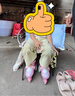 小状元儿童轮滑鞋女童溜冰鞋初学者3岁幼儿宝宝双排滑冰鞋生日礼物 粉【鞋+路障大礼包】 XS 【适合日常26-30码】尺码可调 实拍图