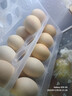 1号会员店可生食鸡蛋30枚净重3.6斤精选大码蛋礼盒装 源头直发 实拍图