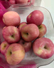 京鲜生 烟台红富士苹果 净重10斤  单果160g以上 水果礼盒 实拍图