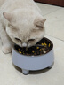 HELLOJOY不锈钢宠物食盆狗碗猫狗碗食盆水粮两用宠物碗喂食器 灰色 实拍图