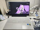 七彩虹隐星P15 游戏本 50系满性能独显 40系独显直连高刷 学生设计 软件编辑笔记本电脑 满血电竞笔记本 G15：I5-13420H/RTX5050白 *性价比推荐 【16G内存 512G固态】 实拍图