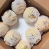 京地达梨砀山酥梨雪梨香梨子水果送礼净重4.8斤单果250g+源头直发 实拍图