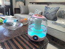 aiyouwei【3L大雾量】新款加湿器家用静音卧室小型空气香薰精油脸部补水喷雾专用桌面室内办公室生日女生 【樱花粉】大雾量双喷智能数显多模式夜灯 实拍图