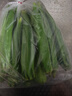 新鲜水果秋葵黄秋葵现摘现发生鲜蔬菜凉拌烧烤火锅食材减肥瘦身 现摘鲜嫩秋葵（试吃装） 500g 实拍图
