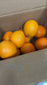 集南鲜 赣南脐橙 江西橙子新鲜现摘水果脐橙时令生鲜水果甜橙 水果礼盒 净重4.5斤 特级橙  单果200g+ 实拍图