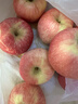 京鲜生 陕西洛川苹果红富士  净重5斤  单果200g+ 生鲜水果 实拍图