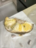 越南菠萝蜜正宗进口鲜果香甜可口果王稀缺脆甜带皮出果肉40%左右 带皮切块果肉1.5斤-2斤 实拍图
