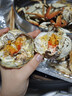 【活蟹】阳澄联合鲜活大闸蟹现货全母2.3-2.6两 8只生鲜螃蟹大只去绳足重海鲜礼盒 实拍图