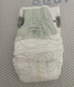 babycare金山茶花拉拉裤XL34片(12-17kg)婴儿尿不湿超薄透气新生柔花苞裤 实拍图