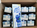 蒙牛真果粒蓝莓味牛奶饮品250g*12盒  小黄鸭IP 送礼盒装新老包装 实拍图