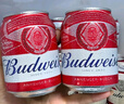 百威啤酒mini罐淡色拉格255ml*12听整箱装【小罐尝鲜】京东自营 实拍图