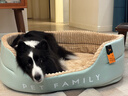 华元宠具（hoopet）狗窝四季通用狗狗床中大型犬睡觉可拆洗宠物睡垫子秋冬季保暖猫窝 实拍图