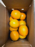 集南鲜 赣南脐橙 江西橙子新鲜现摘水果脐橙时令生鲜水果甜橙 水果礼盒 净重4.5斤 甄选橙 单果70-80mm 实拍图