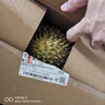 京鲜生 进口金枕头榴莲 净重6-7斤 1个装  鲜果 生鲜 新鲜水果 实拍图