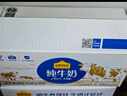 认养一头牛纯牛奶250ml*15盒 学生早餐纯奶整箱一提装/新老包装混发 实拍图