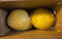 京鲜生 福建红心蜜柚 4粒大果 净重约10-12斤 生鲜柚子水果礼盒 实拍图