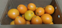 集年鲜江西赣南脐橙当季新鲜橙子水果现摘现发节日送礼生鲜 含箱10斤净重9斤优选果150-230g 实拍图