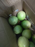 黄金百香果钦蜜9号新鲜当季现摘精选好果水果百香果鲜果酸甜可口 钦蜜9号黄金百香果 >60g大果 1斤 实拍图