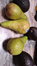 京鲜生微催熟 啤梨500g+牛油果500g   生鲜水果 源头直发 实拍图