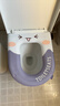 洁比世马桶垫2个装 坐便垫圈防水可水洗家用保暖粘贴式马桶贴 实拍图