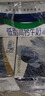 蒙牛【新鲜日期】低脂高钙牛奶250ml*24盒 早餐健身伴侣 送礼盒装 实拍图