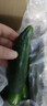 京喜加新鲜无刺水果小黄瓜小青瓜脆甜荷兰脆嫩生吃黄瓜蔬菜 水果黄瓜 2斤 带箱活动 实拍图