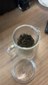 忆壶茶 茶壶玻璃茶具泡茶壶玻璃茶杯迷你茶壶玻璃茶具套装 风语壶【大壶口易清洗】 实拍图