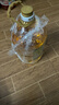 金龙鱼 食用油 非转基因 物理压榨玉米油6.18L（蕴含植物甾醇） 实拍图