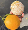 正宗赣南脐橙新鲜现摘 赣南脐橙【10斤】 【单果95mm】果王【推荐购买】 实拍图