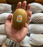 佳沛（zespri）新西兰  阳光金奇异果16粒礼盒经典果单果约 77-103g 水果 猕猴桃 实拍图