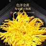 福东海 菊花茶【约100朵完整大花】金丝皇菊胎菊黄山贡菊特茶级花草茶 实拍图