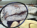 尤迪曼黑紫羽毛球拍全碳素超轻8U训练单拍1支装(已穿线25磅） 实拍图