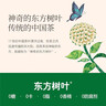 农夫山泉东方树叶桂花乌龙茶335ml*24瓶无糖茶饮料0糖0脂0卡整箱装 实拍图