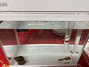 森森（SUNSUN）超白鱼缸一体缸自循环客厅水族箱桌面家用懒人免换水小型金鱼缸 超白HEJ250标配 带滤材+棉 实拍图