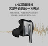 HIFIMAN（海菲曼）【国家补贴】Svanar Wireless大天鹅真无线 主动降噪蓝牙耳机 入耳式无线耳机 HIFI音质 实拍图
