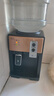 米立尔 饮水机小型家用桶装水台式迷你型冷热型制冷制热桌面宿舍学生饮水器新款 【温热】香槟金- 温热型 实拍图