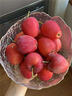 映棠 东北鸡心果5斤【顺丰快递—多地次日达】海棠果玫瑰小苹果礼盒装 3斤大果【人工精选】 现摘现发 实拍图