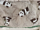 洁丽雅（Grace）纯棉枕巾A类全棉三层防脱落枕头巾枕芯盖巾 熊猫绑带款52*78cm 实拍图