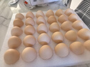 CP  正大 鲜鸡蛋 30枚 3.18斤 早餐食材 优质蛋白  礼盒装 实拍图