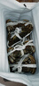 【活蟹】乾澄大闸蟹现货 特大全母蟹4.2-4.5两 8只 鲜活螃蟹河蟹水产海鲜礼盒源头直发 实拍图
