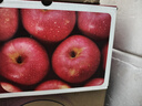 京鲜生 山东栖霞红富士苹果精品12粒 单果190g-240g  水果礼盒 实拍图