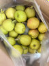 京鲜生 新疆库尔勒香梨 净重10斤 一级 单果100-120g 生鲜水果 实拍图
