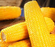 京鲜生 东北黄玉米净重3.6斤 8根*220g+ 真空包装加热即食 源头直发 实拍图