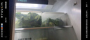 禧天龙保鲜盒冰箱收纳盒抽屉式冷藏果蔬收纳盒冷冻食材抽屉盒小号3个 实拍图