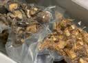半山农 菌菇礼盒七拼1100克 猴头菇姬松茸香菇山珍干货中秋节礼物盒团购 实拍图